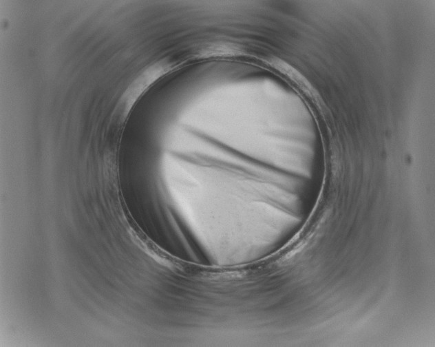 X0000075331337200609250937