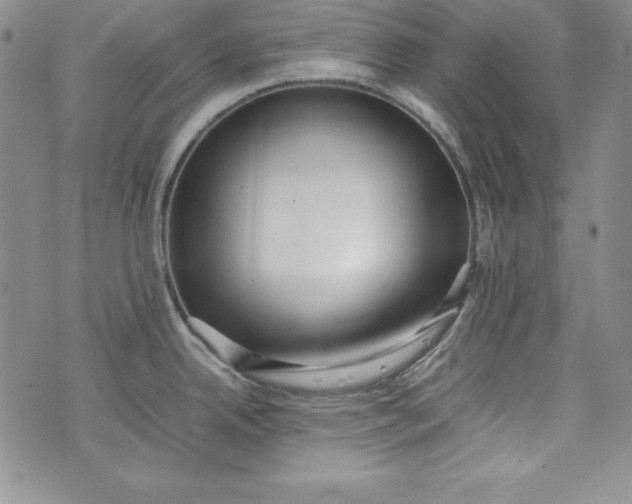 X0000075331342200609250937