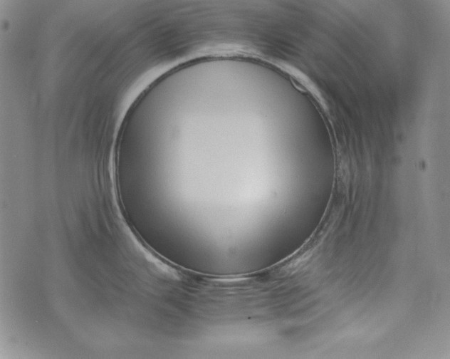 X0000075331343200609250937