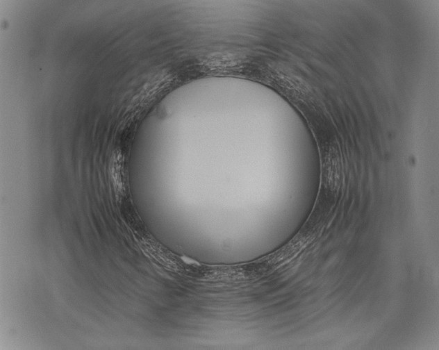 X0000075331346200609250937