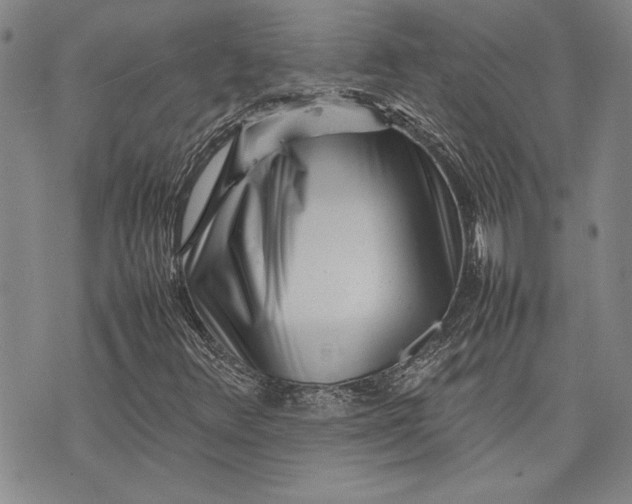 X0000075331348200609250937