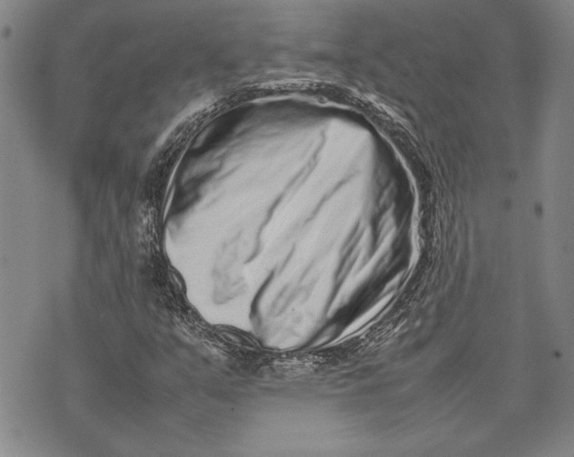 X0000075331351200609250937