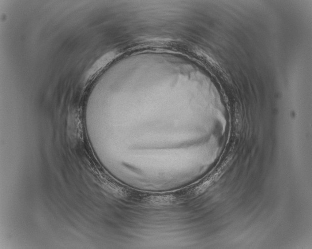 X0000075331354200609250936