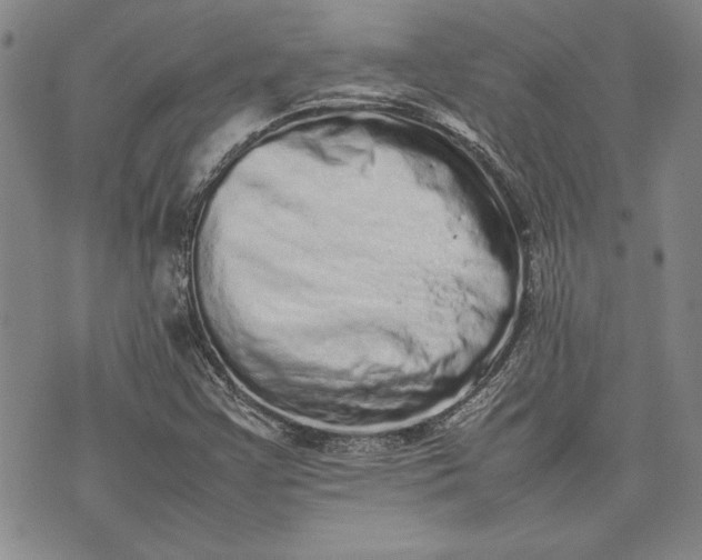 X0000075331355200609250936