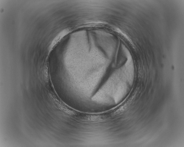 X0000075331362200609250936