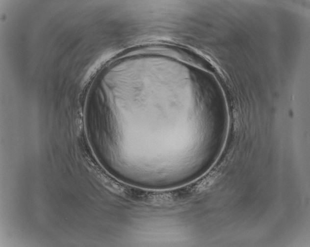 X0000075331363200609250936