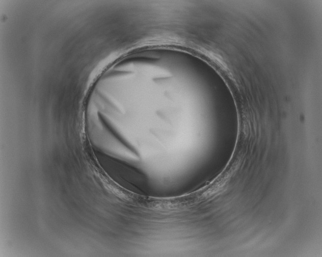 X0000075331366200609250936