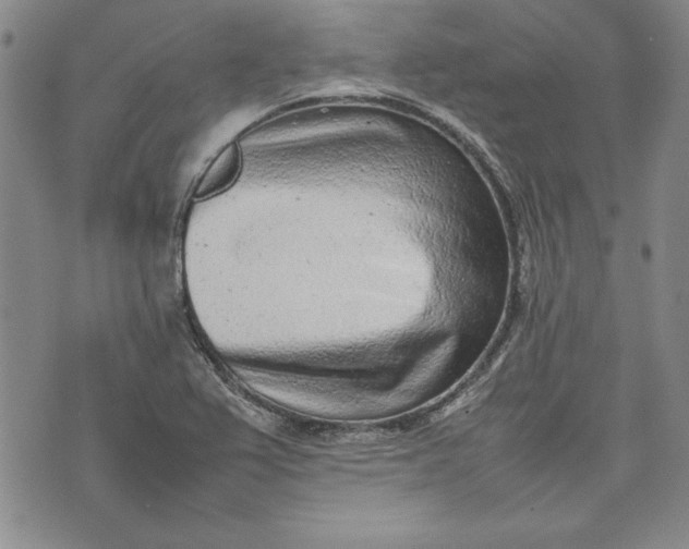 X0000075331367200609250936