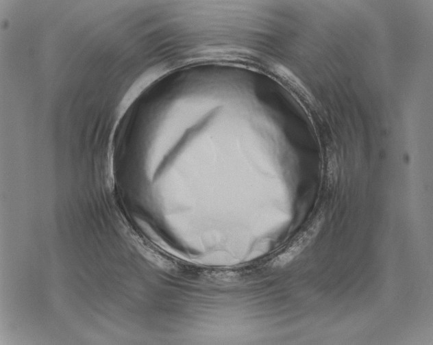 X0000075331370200609250936