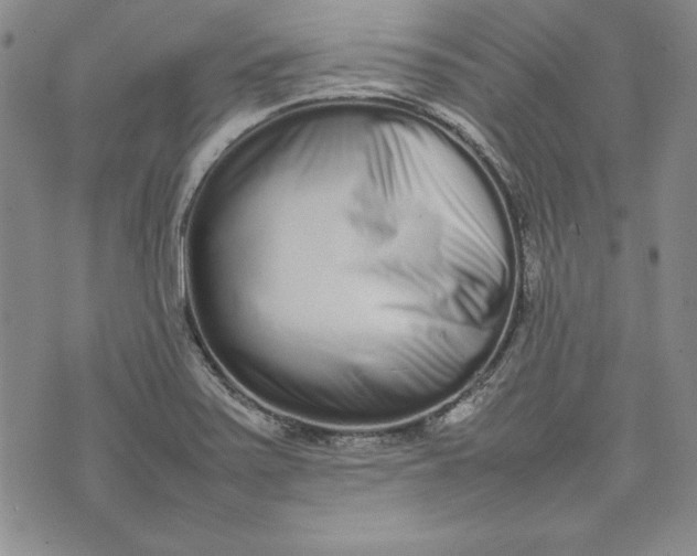 X0000075331371200609250936
