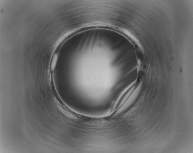 X0000075331372200609250936