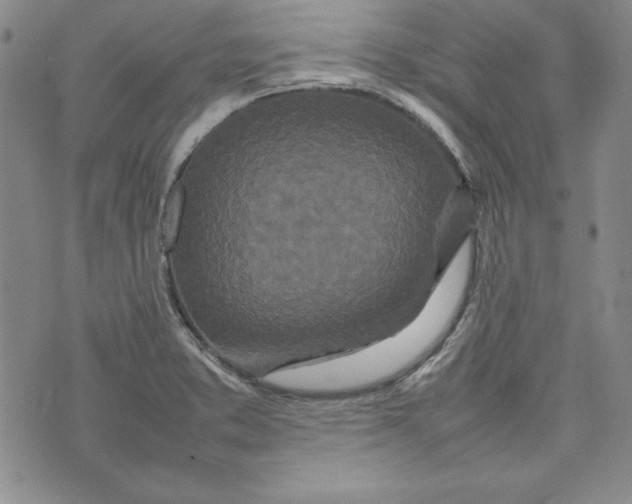 X0000075331373200609250936