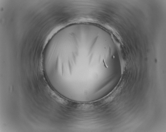 X0000075331374200609250936