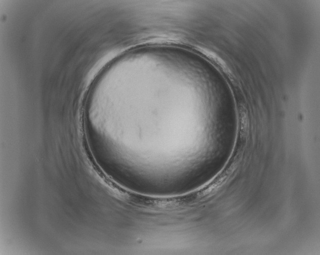 X0000075331375200609250936