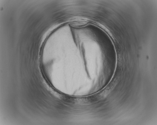 X0000075331379200609250936