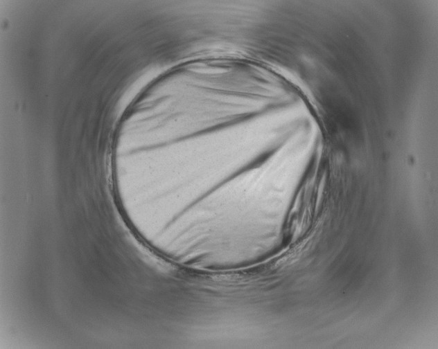 X0000075331383200609250936