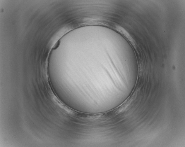 X0000075331386200609250936