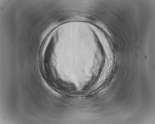 X0000075331387200609250936