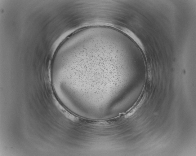 X0000075331388200609250936