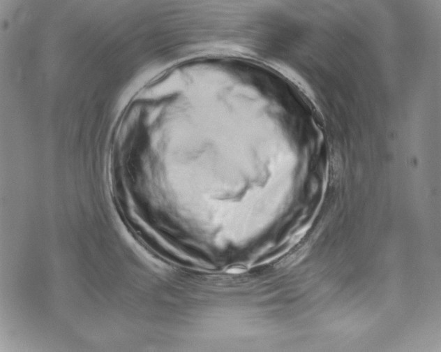 X0000075331391200609250936