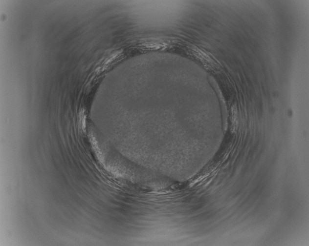 X0000075331394200609250935