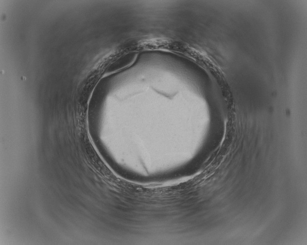 X0000075331399200609250935