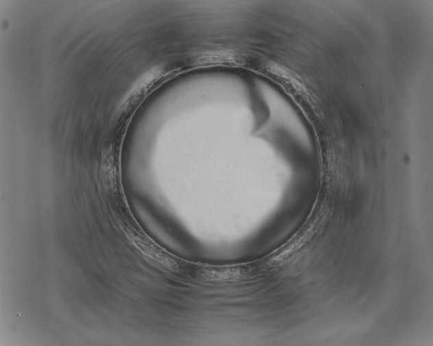 X0000075331403200609250935