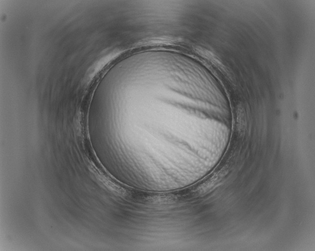 X0000075331404200609250935