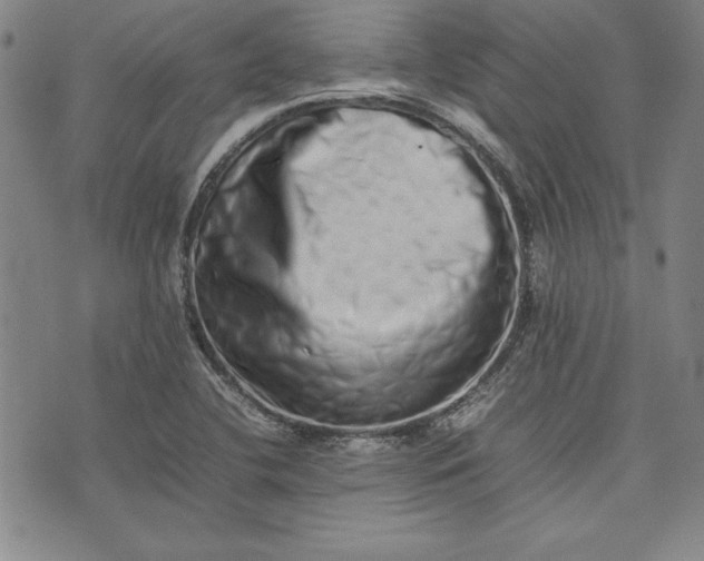 X0000075331412200609250935