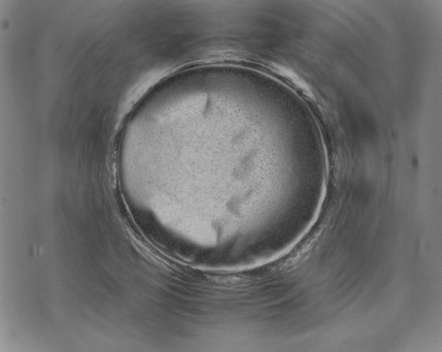 X0000075331413200609250935