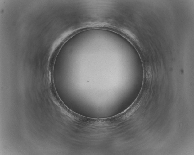 X0000075331414200609250935