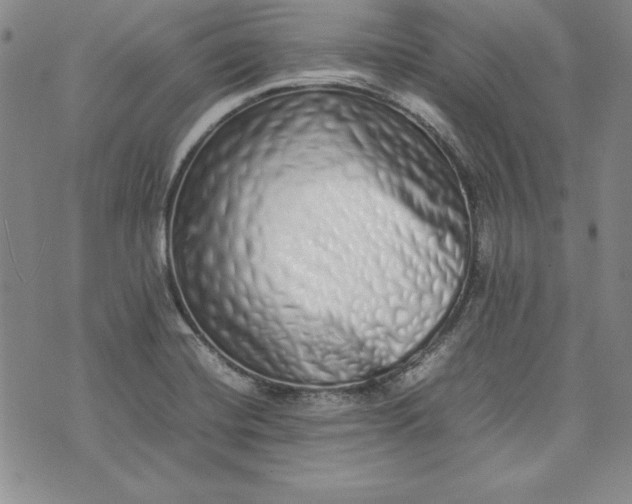 X0000075331420200609250936