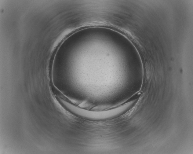 X0000075331422200609250936