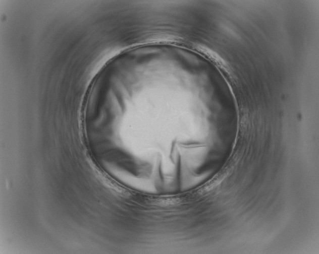 X0000075331423200609250936