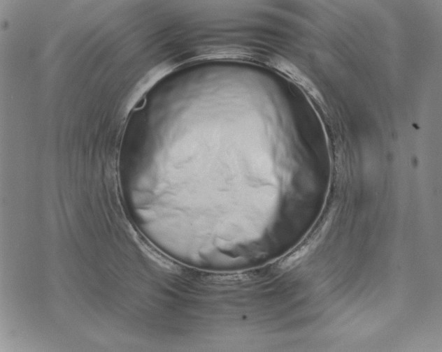 X0000075331425200609250936