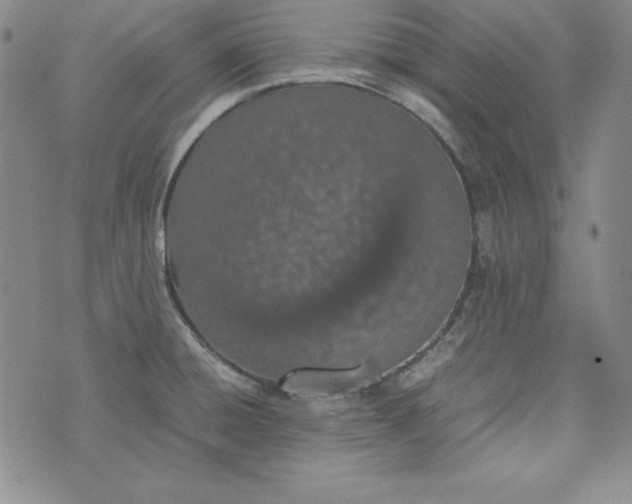 X0000075331428200609250936