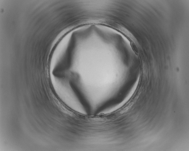 X0000075331436200609250936