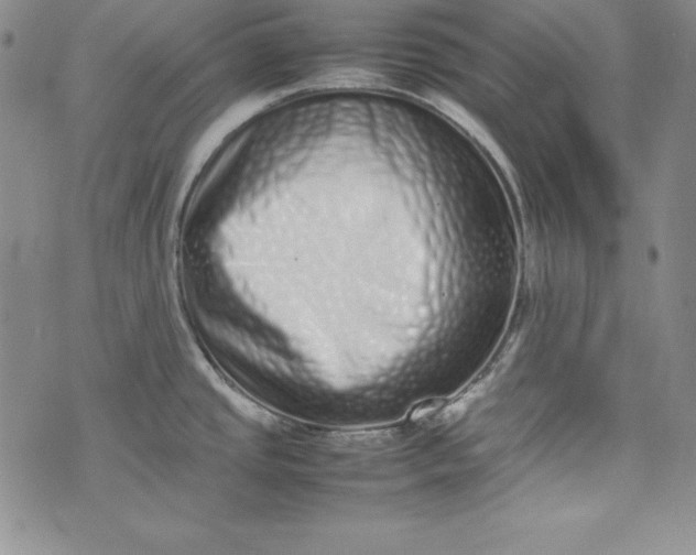 X0000075331437200609250936