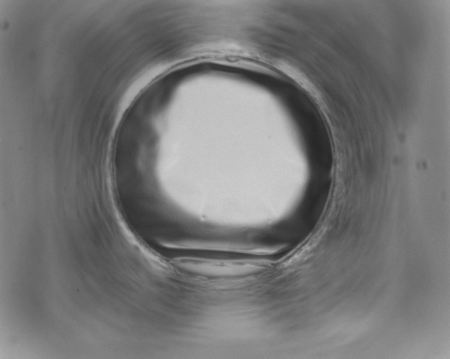 X0000075331440200609250936