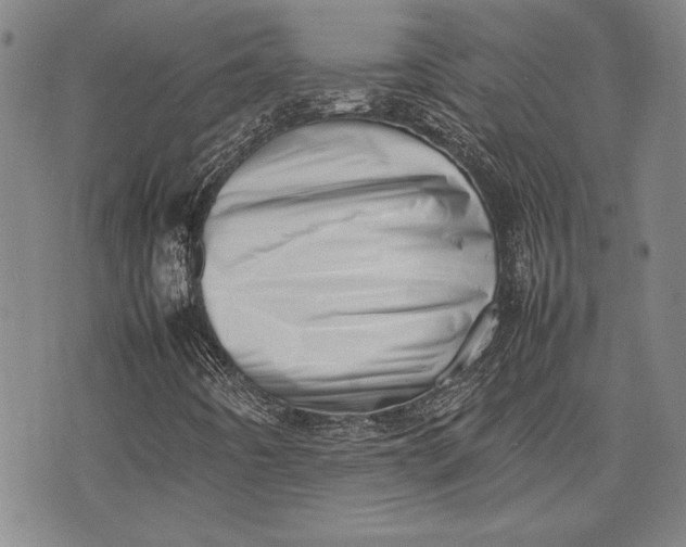 X0000075331442200609250935