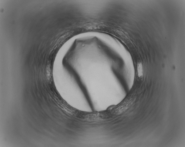 X0000075331444200609250935