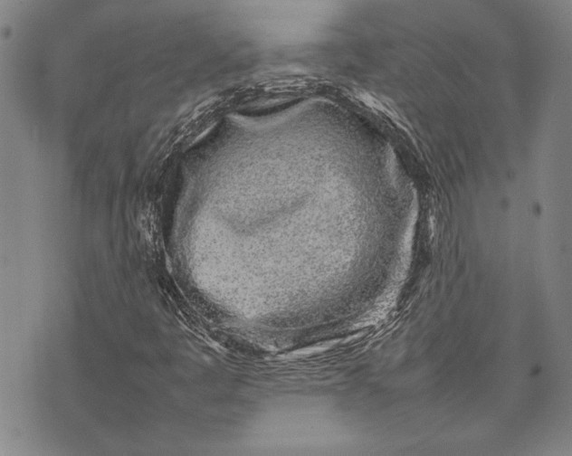 X0000075331445200609250935