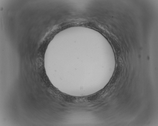 X0000075331447200609250935