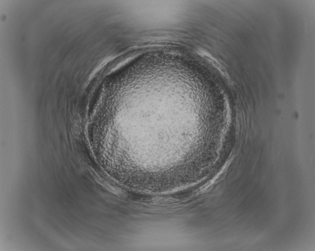 X0000075331449200609250935