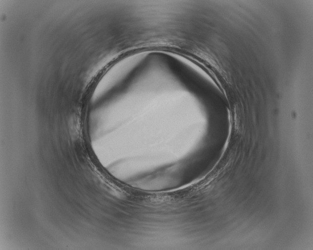 X0000075331452200609250935