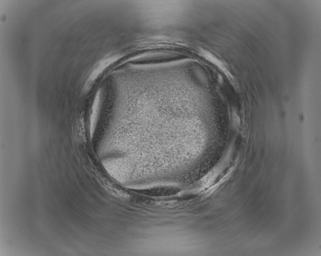 X0000075331453200609250935