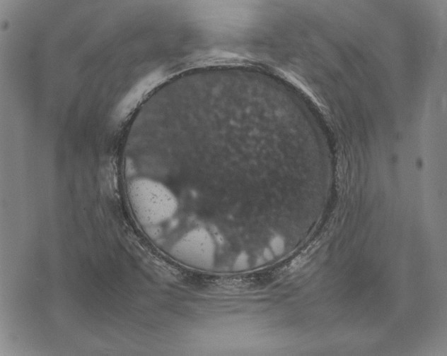 X0000075331455200609250935