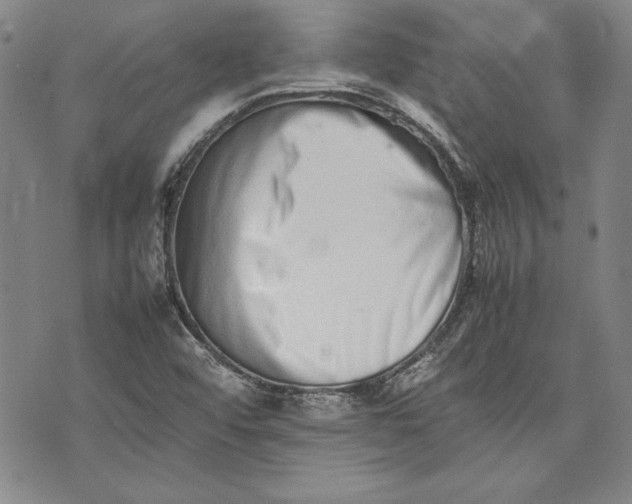 X0000075331456200609250935