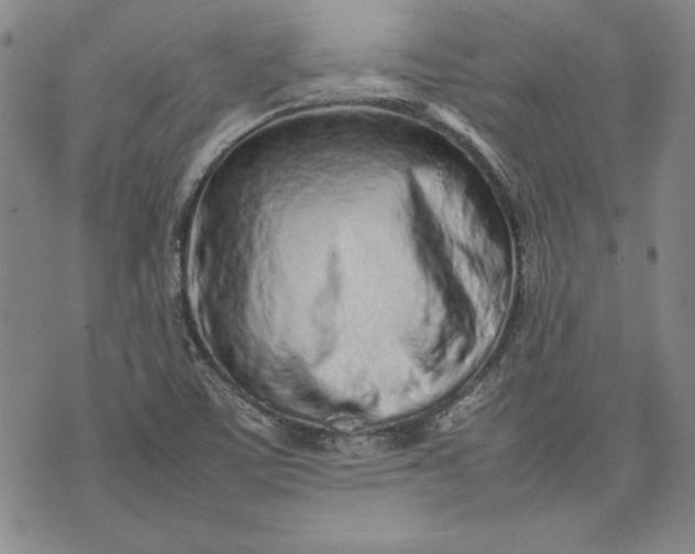 X0000075331459200609250935