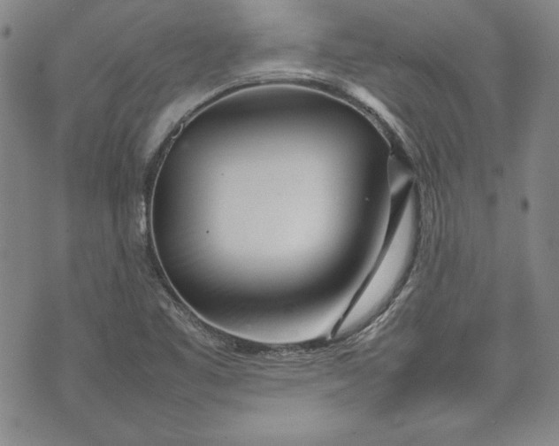 X0000075331461200609250935